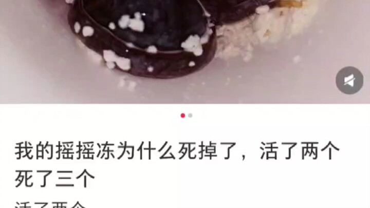 Cười bò! Cứ tưởng lớn lên chúng ta sẽ nói chuyện chín chắn cơ đấy!