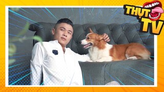 Thụt TV  | Random bullshot