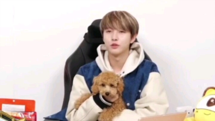 【Huang Renjun】Tiba-tiba membungkuk dan menggendong seekor anjing, lucu banget!