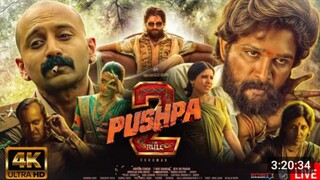 Pushpa the rule 2 movie full HD Hindi dubbed