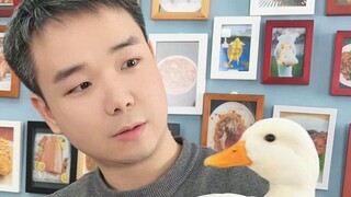 Some ducks, once missed, will never come back