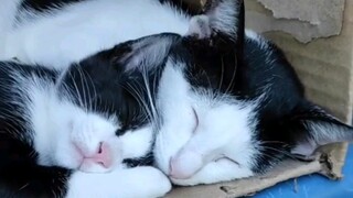 เด็กที่มีแม่คือของล้ำค่า