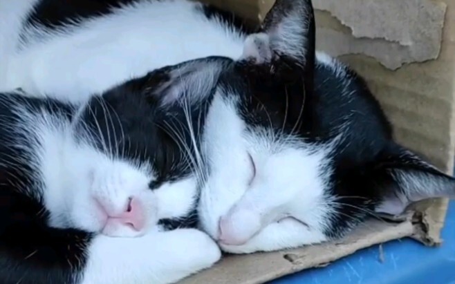 A child with a mother is a treasure.