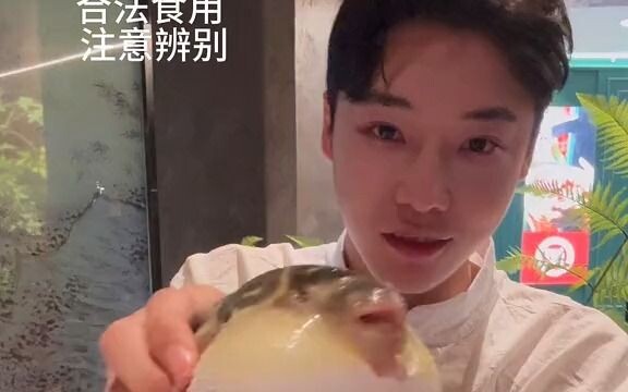 ลองชิมปลาปักเป้าดูสิ 🐡