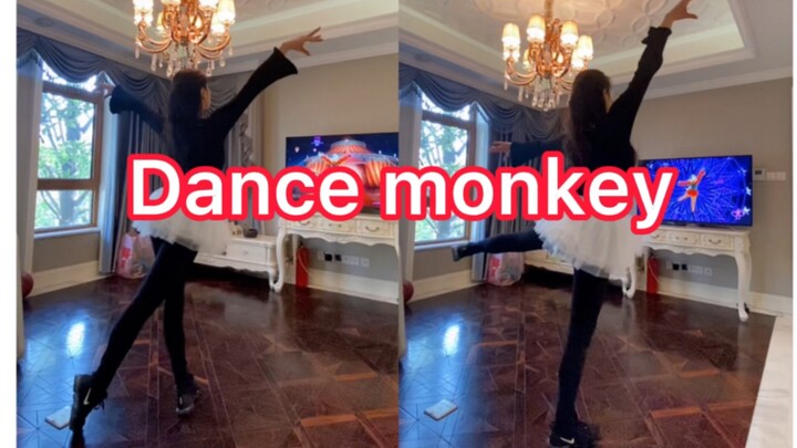 Dance monkey有氧芭蕾