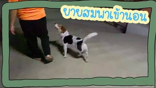 โลกของแสนดี ตอน หนูยังไม่ง่วง