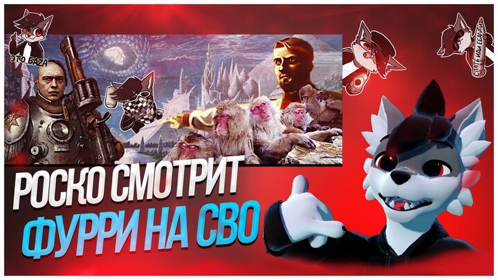 🐺 Роско смотрит Топаз и Andrboll о фурри на СВО