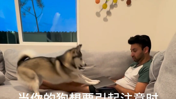 เธอ  ห้ามทำงานแล้วนะ