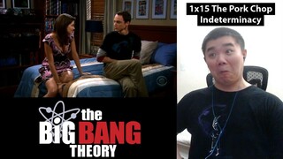 The Big Bang Theory Season 1 Episode 15- The Porkchop Indeterminacy and Discussion!