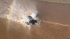 we can always encounter surprises at the seaside