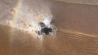 we can always encounter surprises at the seaside