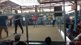 1 fight