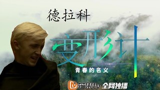 【HP/德拉科/变形计】听说少爷不听话，送去变形！！！
