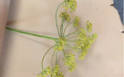 What beautiful natural textures! Handmade pottery!