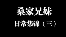 桑家兄妹名场面集锦(三)