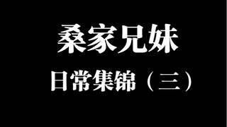 桑家兄妹名场面集锦（三）