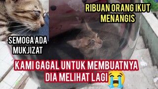 Anak Kucing Buta Ini Akhirnya Pulang Dari Klinik Hewan Begini Hasilnya Bikin Tambah Nangis..!