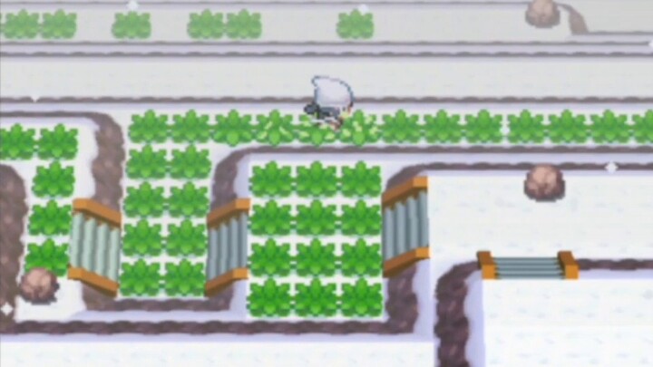 How shocking can the scene of catching alpaca in platinum be? Catching Arceus in platinum