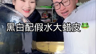 黑白配超大假水蜡皮居然……