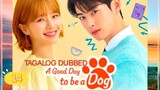 A G00D DAY TO BE A DOG EP14