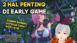 2 HAL INI YANG HARUS DILAKUKAN DI EARLY GAME WUTHERING WAVES