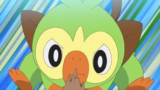 Pokemon Tập 1149: Sarunori đi lạc! Ai là nhà huấn luyện!?