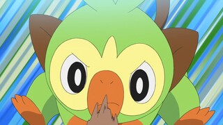 Pokemon Tập 1149: Sarunori đi lạc! Ai là nhà huấn luyện!?