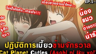 😻Asobi ni Iku yo! ปฎิบัติการเมี้ยวข้ามจักรวาลEp1-5