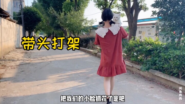 OMG! It lost a fake-accident brawl and ended up disfigured—its old mom’s out to get even.