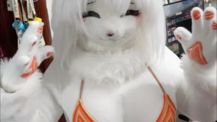 /ᐠ - ˕ -マ