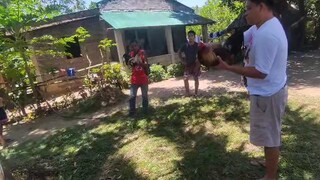 First fight lemon sweater