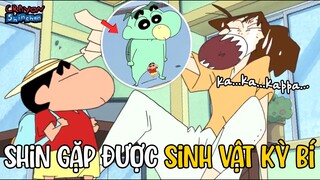 Shin Đặc Biệt: Mùa hè kết thúc, Shin gặp được Kappa | Shin Cậu Bé Bút Chì | Xóm Anime