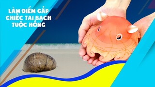 Trọng Nguyên | Làm điểm gấp chiếc tai bạch tuộc hồng