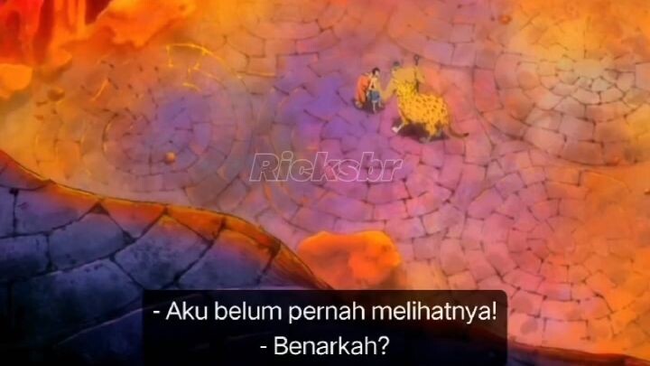 zoro luffy kocak