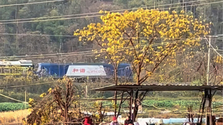 Gà nướng đuôi phượng, tạm ăn vậy thôi