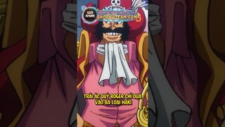 Vua Hải Tặc Roger sở hữu trái ác quỷ nào? | One Piece