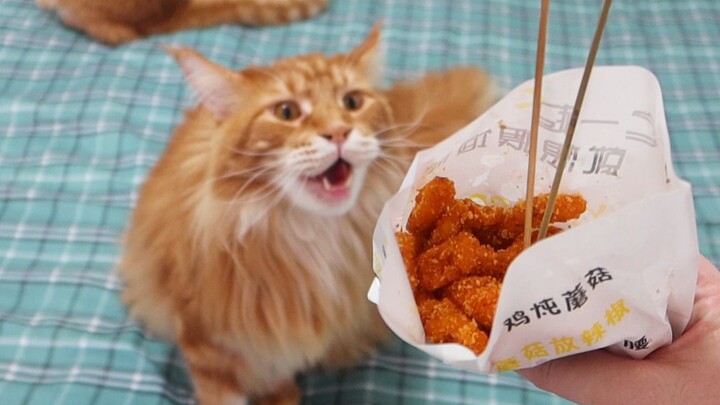 Bosan makan ayam fillet? Coba deh bikin ayam fillet tanpa tulang!