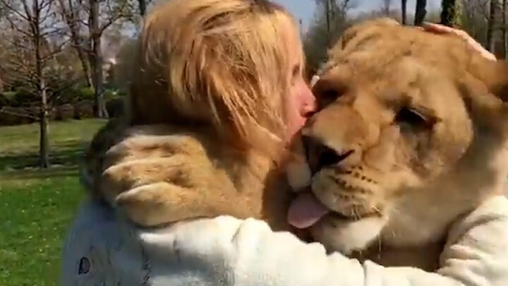 Cute Lionesses Freak Out After Seeing Friend! | Best Pets Of The Week
