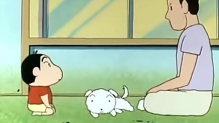 Xiaobai is not a pet, he is a family member