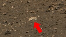 Som ET - 65 - Mars - Curiosity Sol 4307 - 1