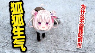 สุนัขจิ้งจอกรู้วิธีสาปถ้าไม่ได้รับอาหารจริงๆ! ! !
