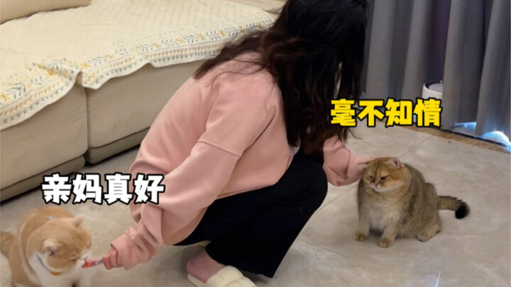 Aren’t we supposed to treat everyone equally?