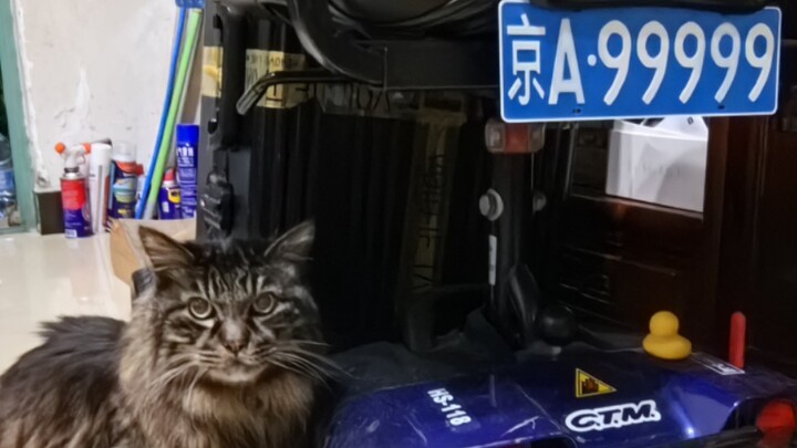 “Young people can just have fun—after all, the internet is the only way they even get to know me any