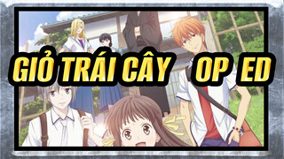 GIỎ TRÁI CÂY OP & ED Tổng hợp_E