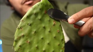 一个视频教你学会烹饪仙人掌，咱就是说这道菜就非吃不可吗？