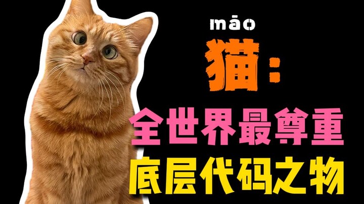 Tingkat pengembangan kode dasar manusia terhadap kucing masih belum mencapai 1%