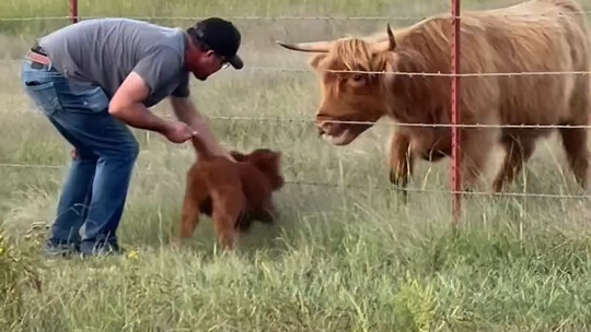 When Animal Motherhood Meets Human Kindness…