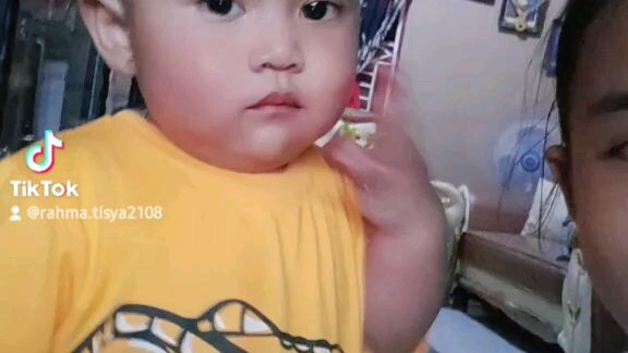 anak ajam