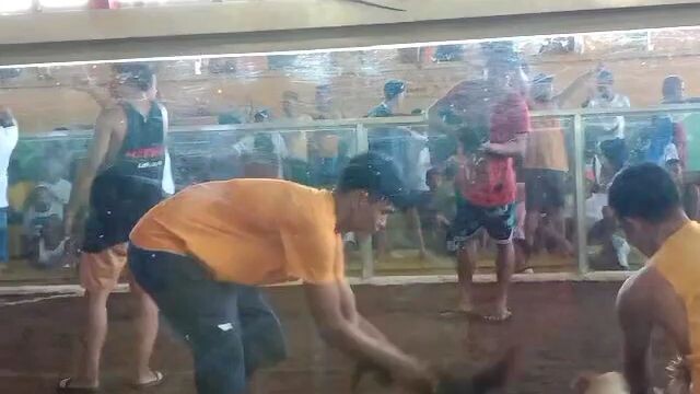 one shot one win bigla nag kayayaan.