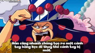 Top 10 Thanh Niên Tàn Tật Bá Đạo Trong One Piece p3